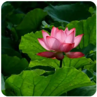 习题答案网（9787563033157答案网）