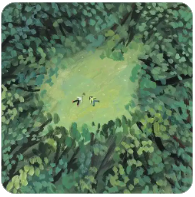 高考报名入口官网（高考报名入口官网宁夏2026年）