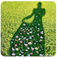 高考报名入口官网（高考报名入口官网宁夏2026年）