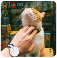 青岛英语培训学校（青岛英语培训学校有哪些）