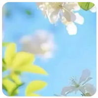 河北人事考试网（中国人事考试网）