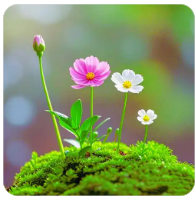 南京一周天气（南京一周天气预报15天情况分析表）