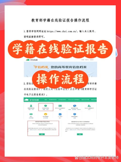 中国教育考试网专升本（中国教育考试网专升本登录入口）