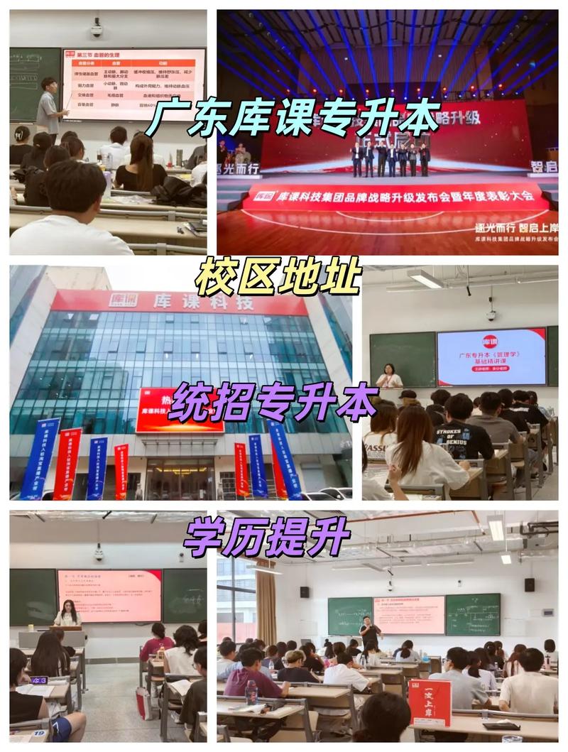 专升本官网（库课专升本官网）