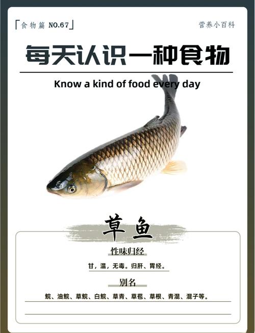 草鱼的做法（草鱼的做法简单又好吃）