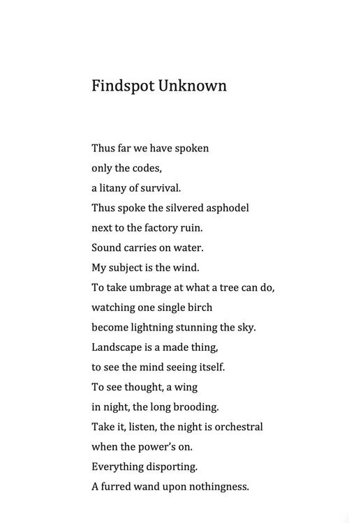 搭档英语（她是我的有机化学实验的搭档英语）